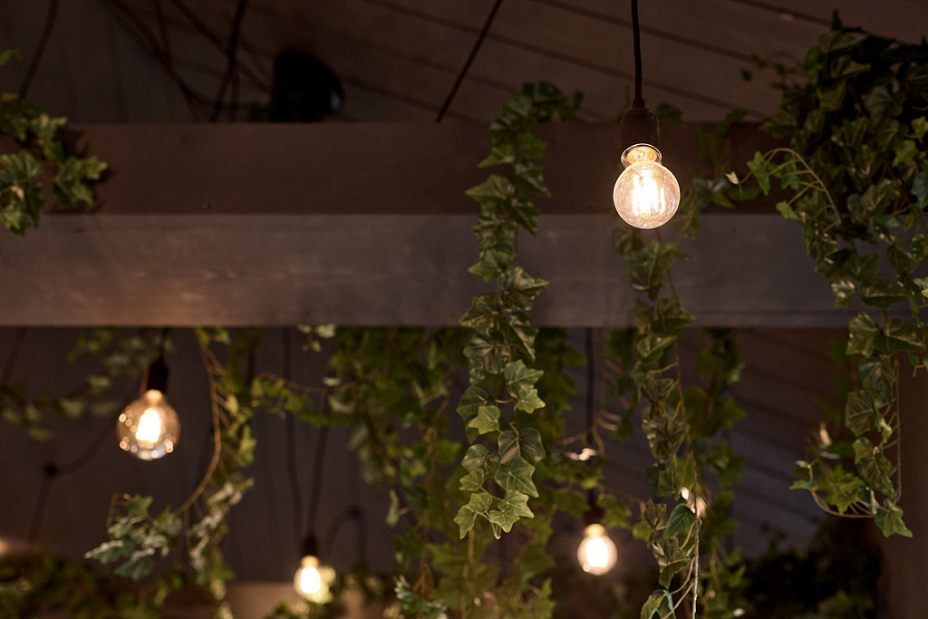 3_Честные ватты Зимний сад 2.jpg 3_Честные ватты Зимний сад 2.jpg